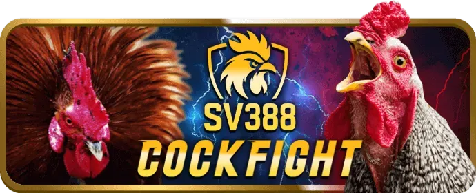 Cá cược Bóng Đá hii88 nhà cái